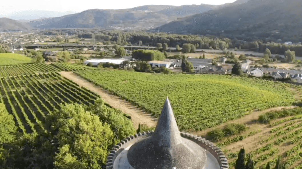 Viñedos de El Bierzo